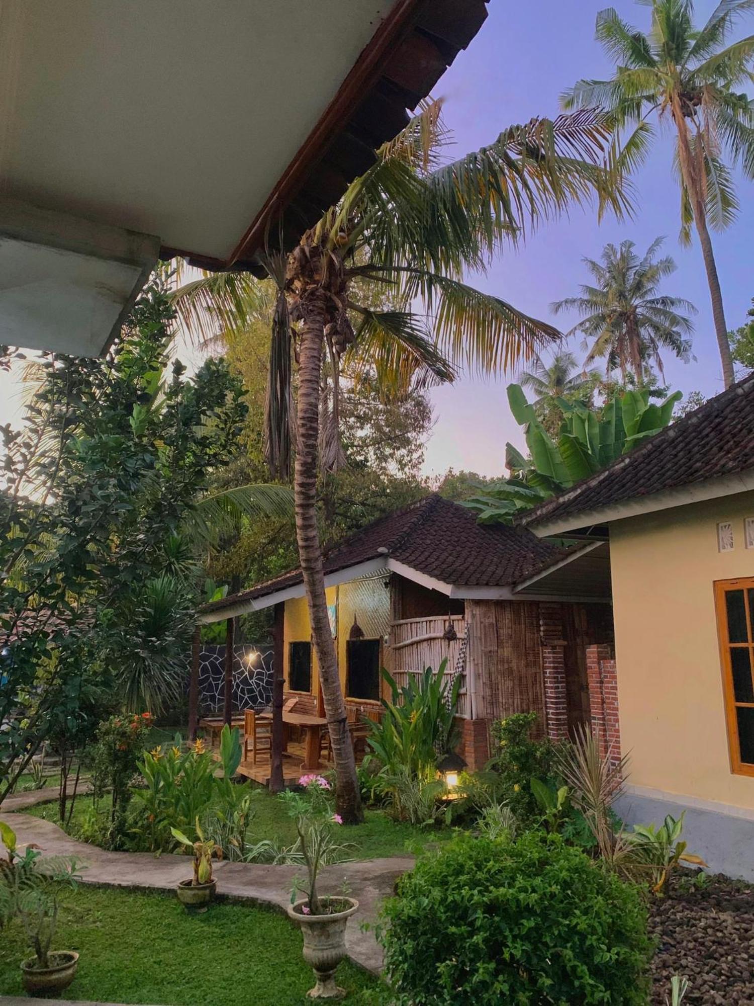 Penginapan Sedap Malam Lovina Buitenkant foto